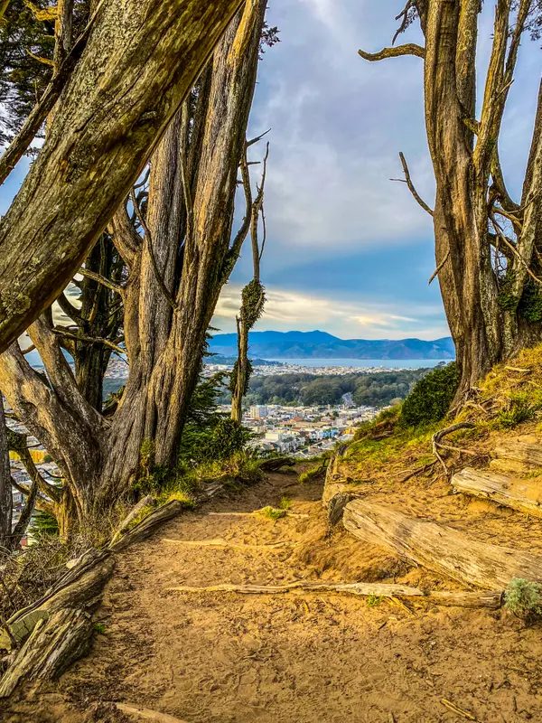 San Francisco View - Golden Gate Heights